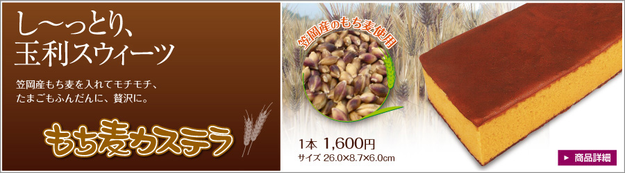 笠岡産もち麦を使用したモチモチ食感の無添加カステラ 「もち麦カステラ」