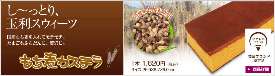笠岡産もち麦を使用したモチモチ食感の無添加カステラ 「もち麦カステラ」